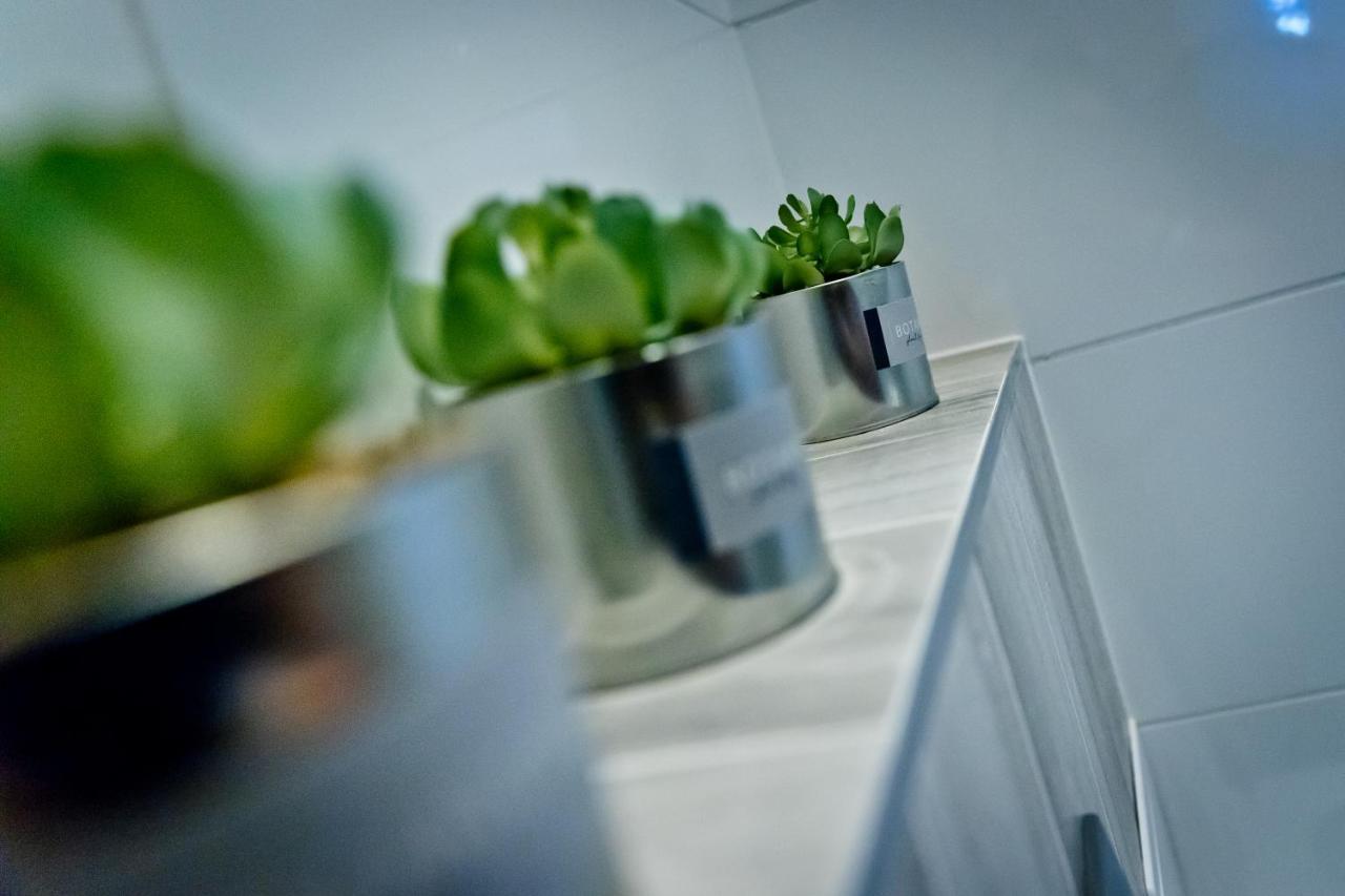 Apartament Kalinka Ныса Экстерьер фото